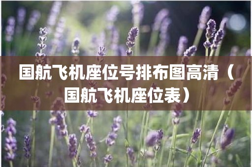 国航飞机座位号排布图高清（国航飞机座位表）