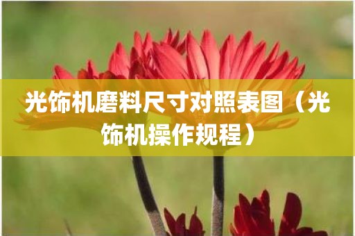 光饰机磨料尺寸对照表图（光饰机操作规程）