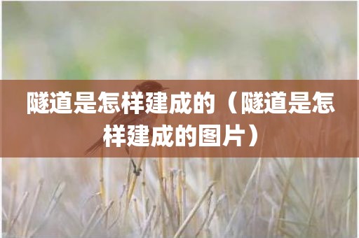 隧道是怎样建成的（隧道是怎样建成的图片）