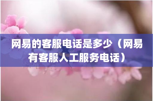 网易的客服电话是多少（网易有客服人工服务电话）
