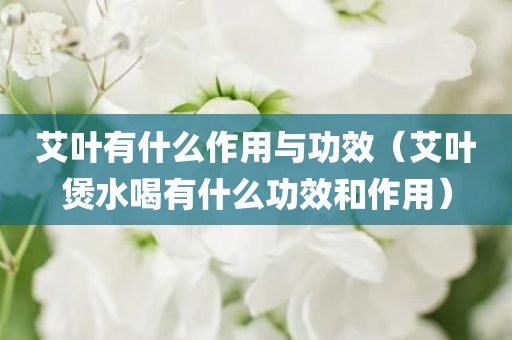 艾叶有什么作用与功效（艾叶煲水喝有什么功效和作用）