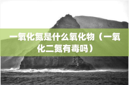 一氧化氮是什么氧化物（一氧化二氮有毒吗）