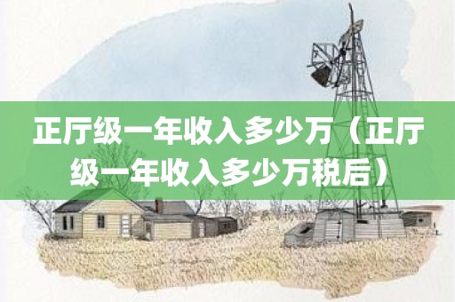 正厅级一年收入多少万（正厅级一年收入多少万税后）
