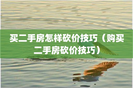 买二手房怎样砍价技巧（购买二手房砍价技巧）