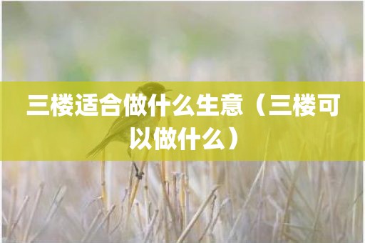 三楼适合做什么生意（三楼可以做什么）