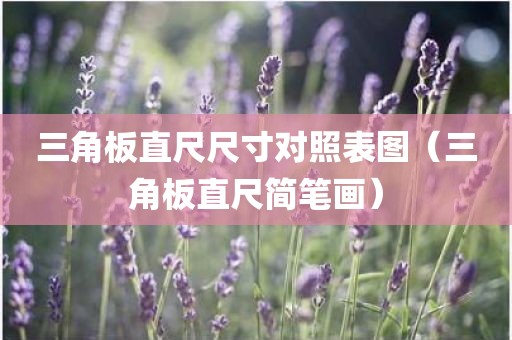 三角板直尺尺寸对照表图（三角板直尺简笔画）