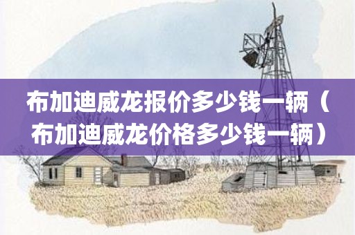 布加迪威龙报价多少钱一辆（布加迪威龙价格多少钱一辆）