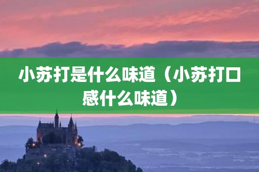 小苏打是什么味道（小苏打口感什么味道）