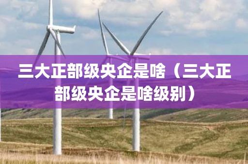 三大正部级央企是啥（三大正部级央企是啥级别）