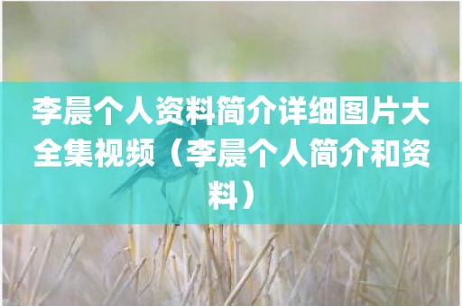 李晨个人资料简介详细图片大全集视频（李晨个人简介和资料）