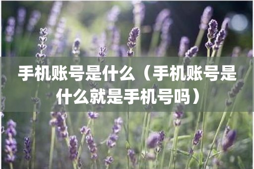 手机账号是什么（手机账号是什么就是手机号吗）