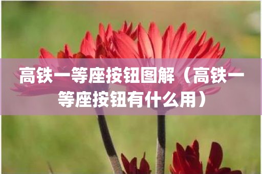 高铁一等座按钮图解（高铁一等座按钮有什么用）