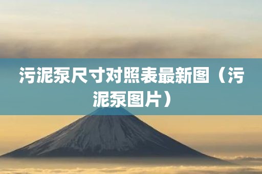污泥泵尺寸对照表最新图（污泥泵图片）
