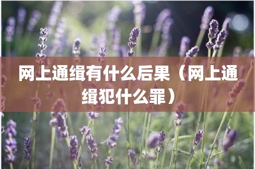 网上通缉有什么后果（网上通缉犯什么罪）