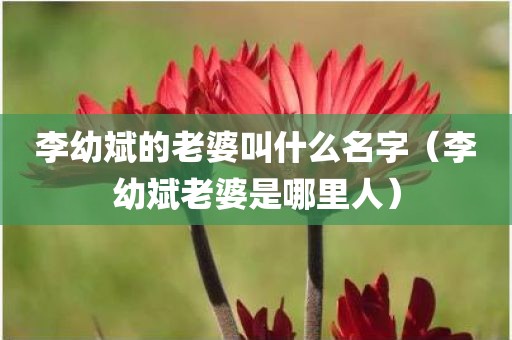 李幼斌的老婆叫什么名字（李幼斌老婆是哪里人）