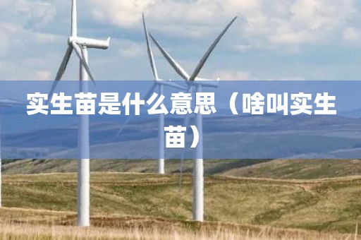实生苗是什么意思（啥叫实生苗）