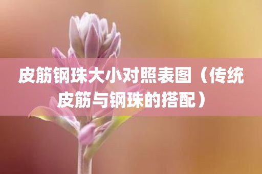 皮筋钢珠大小对照表图（传统皮筋与钢珠的搭配）