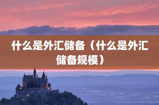 什么是外汇储备(什么是外汇储备规模)
