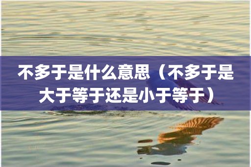 不多于是什么意思（不多于是大于等于还是小于等于）