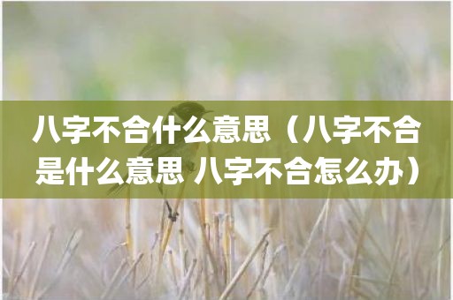 八字不合什么意思（八字不合是什么意思 八字不合怎么办）