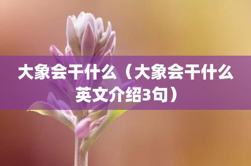 大象会干什么（大象会干什么英文介绍3句）