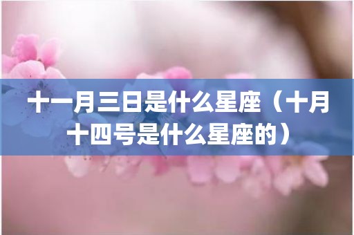 十一月三日是什么星座（十月十四号是什么星座的）