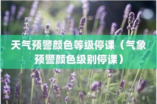 天气预警颜色等级停课(气象预警颜色级别停课)