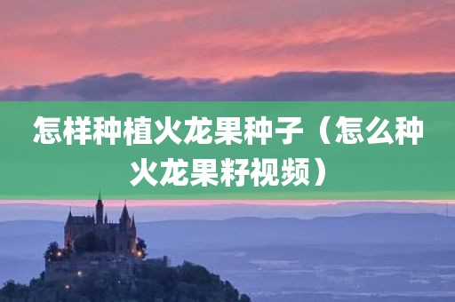 怎样种植火龙果种子（怎么种火龙果籽视频）