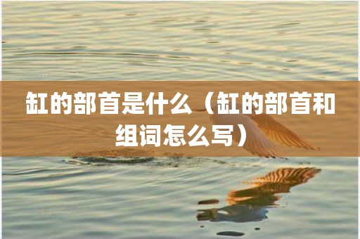 缸的部首是什么（缸的部首和组词怎么写）