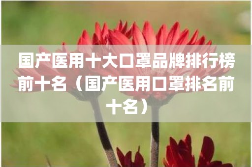 国产医用十大口罩品牌排行榜前十名（国产医用口罩排名前十名）