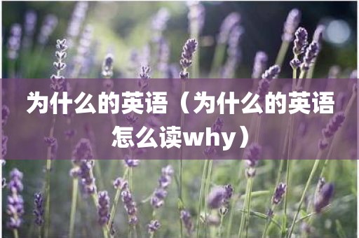 为什么的英语（为什么的英语怎么读why）