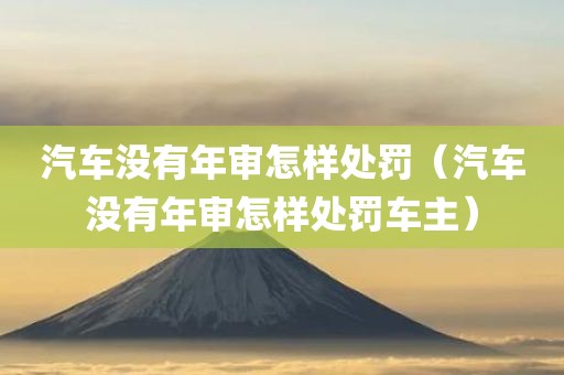 汽车没有年审怎样处罚（汽车没有年审怎样处罚车主）
