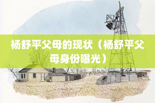杨舒平父母的现状（杨舒平父母身份曝光）