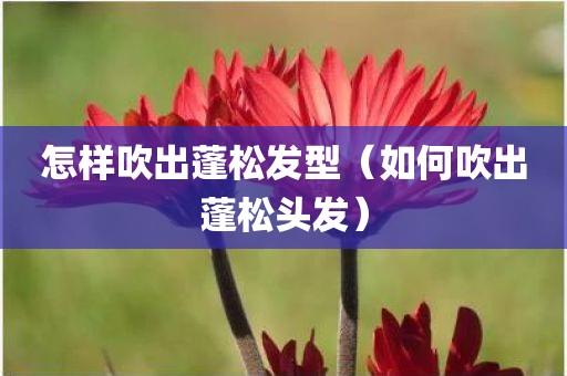 怎样吹出蓬松发型（如何吹出蓬松头发）