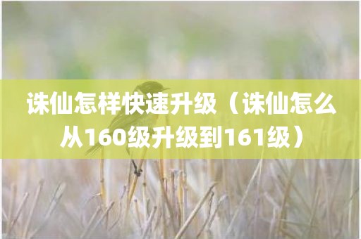 诛仙怎样快速升级（诛仙怎么从160级升级到161级）