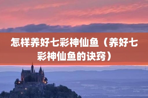 怎样养好七彩神仙鱼（养好七彩神仙鱼的诀窍）
