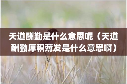 天道酬勤是什么意思呢(天道酬勤厚积薄发是什么意思啊)