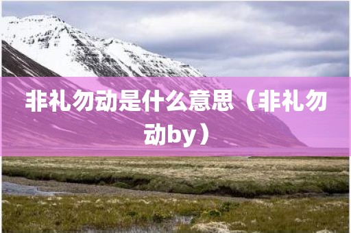 非礼勿动是什么意思（非礼勿动by）