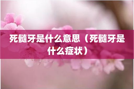 死髓牙是什么意思（死髓牙是什么症状）