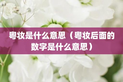 粤妆是什么意思(粤妆后面的数字是什么意思)