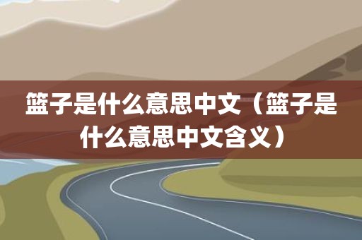 篮子是什么意思中文（篮子是什么意思中文含义）