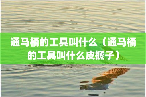 通马桶的工具叫什么（通马桶的工具叫什么皮搋子）