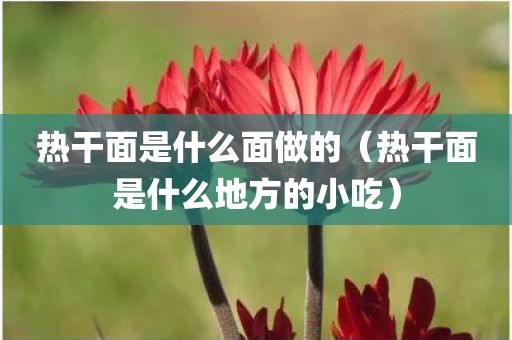 热干面是什么面做的（热干面是什么地方的小吃）