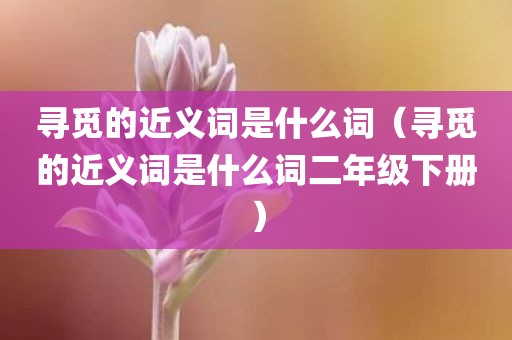 寻觅的近义词是什么词（寻觅的近义词是什么词二年级下册）