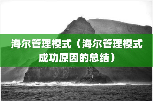 海尔管理模式（海尔管理模式成功原因的总结）
