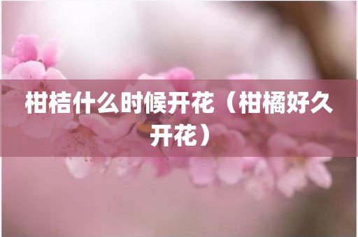 柑桔什么时候开花（柑橘好久开花）
