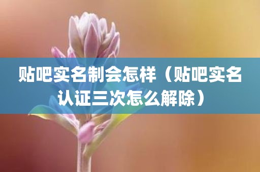 贴吧实名制会怎样（贴吧实名认证三次怎么解除）