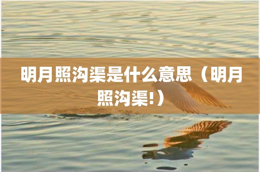 明月照沟渠是什么意思（明月照沟渠!）