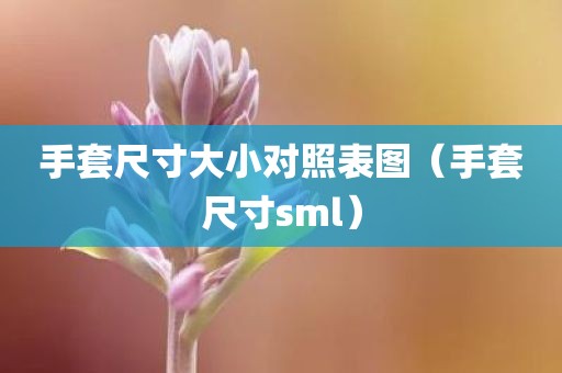手套尺寸大小对照表图（手套尺寸sml）