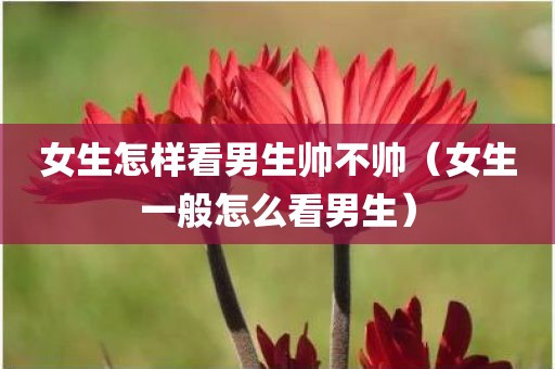 女生怎样看男生帅不帅（女生一般怎么看男生）